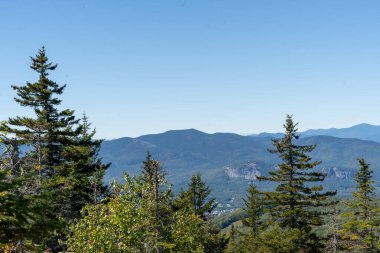 Beyaz Dağ Ulusal Ormanı 'nda bir sürü yemyeşil bitki ve ağacın olduğu güzel bir dağ manzarası. White Mountain Ulusal Ormanı, New Hampshire 'da çekilmiş kaliteli bir fotoğraf..