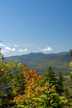 Beyaz Dağ Ulusal Ormanı 'nda bir sürü yemyeşil bitki ve ağacın olduğu güzel bir dağ manzarası. White Mountain Ulusal Ormanı, New Hampshire 'da çekilmiş kaliteli bir fotoğraf..