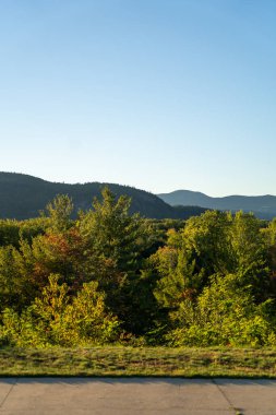 Beyaz Dağ Ulusal Ormanı 'nda bir sürü yemyeşil bitki ve ağacın olduğu güzel bir dağ manzarası. White Mountain Ulusal Ormanı, New Hampshire 'da çekilmiş kaliteli bir fotoğraf..