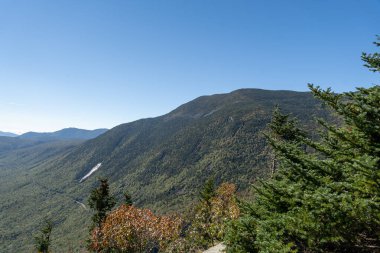 Beyaz Dağ Ulusal Ormanı 'nda bir sürü yemyeşil bitki ve ağacın olduğu güzel bir dağ manzarası. White Mountain Ulusal Ormanı, New Hampshire 'da çekilmiş kaliteli bir fotoğraf..