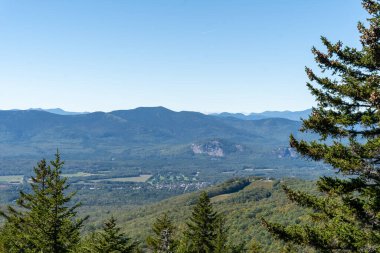 Beyaz Dağ Ulusal Ormanı 'nda bir sürü yemyeşil bitki ve ağacın olduğu güzel bir dağ manzarası. White Mountain Ulusal Ormanı, New Hampshire 'da çekilmiş kaliteli bir fotoğraf..