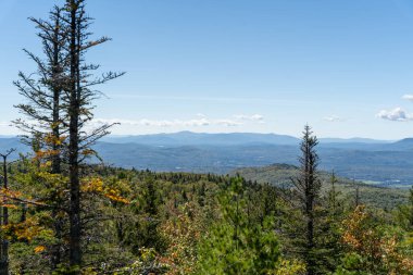 Beyaz Dağ Ulusal Ormanı 'nda bir sürü yemyeşil bitki ve ağacın olduğu güzel bir dağ manzarası. White Mountain Ulusal Ormanı, New Hampshire 'da çekilmiş kaliteli bir fotoğraf..