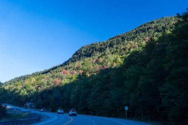 Beyaz Dağ Ulusal Ormanı 'nda bir sürü yemyeşil bitki ve ağacın olduğu güzel bir dağ manzarası. White Mountain Ulusal Ormanı, New Hampshire 'da çekilmiş kaliteli bir fotoğraf..