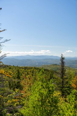 Beyaz Dağ Ulusal Ormanı 'nda bir sürü yemyeşil bitki ve ağacın olduğu güzel bir dağ manzarası. White Mountain Ulusal Ormanı, New Hampshire 'da çekilmiş kaliteli bir fotoğraf..