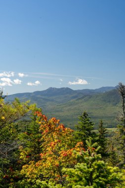 Beyaz Dağ Ulusal Ormanı 'nda bir sürü yemyeşil bitki ve ağacın olduğu güzel bir dağ manzarası. White Mountain Ulusal Ormanı, New Hampshire 'da çekilmiş kaliteli bir fotoğraf..