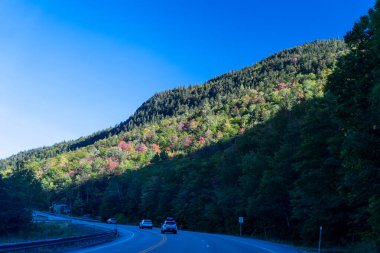 Beyaz Dağ Ulusal Ormanı 'nda bir sürü yemyeşil bitki ve ağacın olduğu güzel bir dağ manzarası. White Mountain Ulusal Ormanı, New Hampshire 'da çekilmiş kaliteli bir fotoğraf..