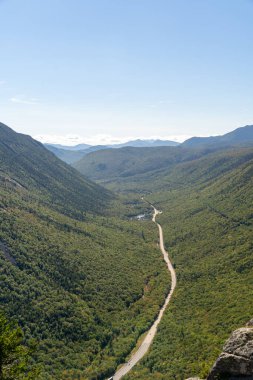 Beyaz Dağ Ulusal Ormanı 'nda bir sürü yemyeşil bitki ve ağacın olduğu güzel bir dağ manzarası. White Mountain Ulusal Ormanı, New Hampshire 'da çekilmiş kaliteli bir fotoğraf..