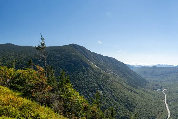 Beyaz Dağ Ulusal Ormanı 'nda bir sürü yemyeşil bitki ve ağacın olduğu güzel bir dağ manzarası. White Mountain Ulusal Ormanı, New Hampshire 'da çekilmiş kaliteli bir fotoğraf..