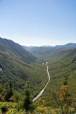 Beyaz Dağ Ulusal Ormanı 'nda bir sürü yemyeşil bitki ve ağacın olduğu güzel bir dağ manzarası. White Mountain Ulusal Ormanı, New Hampshire 'da çekilmiş kaliteli bir fotoğraf..