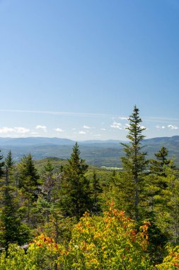 Beyaz Dağ Ulusal Ormanı 'nda bir sürü yemyeşil bitki ve ağacın olduğu güzel bir dağ manzarası. White Mountain Ulusal Ormanı, New Hampshire 'da çekilmiş kaliteli bir fotoğraf..