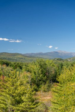 Beyaz Dağ Ulusal Ormanı 'nda bir sürü yemyeşil bitki ve ağacın olduğu güzel bir dağ manzarası. White Mountain Ulusal Ormanı, New Hampshire 'da çekilmiş kaliteli bir fotoğraf..