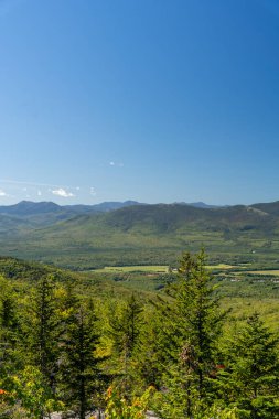 Beyaz Dağ Ulusal Ormanı 'nda bir sürü yemyeşil bitki ve ağacın olduğu güzel bir dağ manzarası. White Mountain Ulusal Ormanı, New Hampshire 'da çekilmiş kaliteli bir fotoğraf..