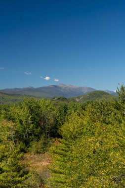 Beyaz Dağ Ulusal Ormanı 'nda bir sürü yemyeşil bitki ve ağacın olduğu güzel bir dağ manzarası. White Mountain Ulusal Ormanı, New Hampshire 'da çekilmiş kaliteli bir fotoğraf..