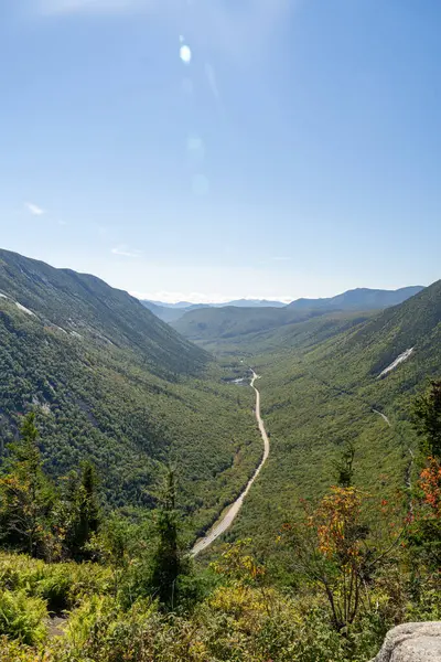 Beyaz Dağ Ulusal Ormanı 'nda bir sürü yemyeşil bitki ve ağacın olduğu güzel bir dağ manzarası. White Mountain Ulusal Ormanı, New Hampshire 'da çekilmiş kaliteli bir fotoğraf..