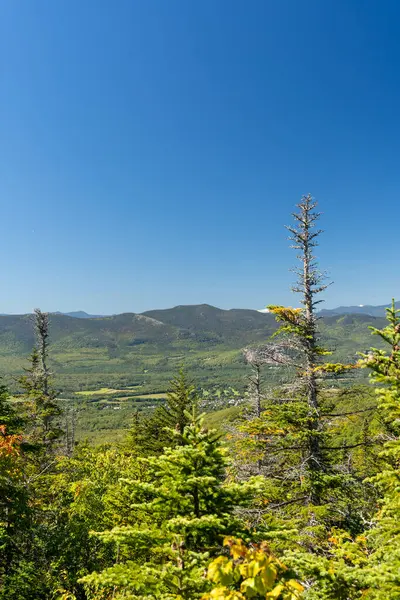 Beyaz Dağ Ulusal Ormanı 'nda bir sürü yemyeşil bitki ve ağacın olduğu güzel bir dağ manzarası. White Mountain Ulusal Ormanı, New Hampshire 'da çekilmiş kaliteli bir fotoğraf..