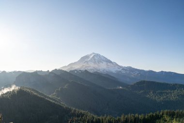 Mt. Dağa bakan güzel manzaralar. Tolmie Tepesi patikasından Rainier ve yemyeşil. Rainier Ulusal Parkı. Yüksek kaliteli bir fotoğraf, Mt. Rainier Ulusal Parkı, Washington Eyaleti. 