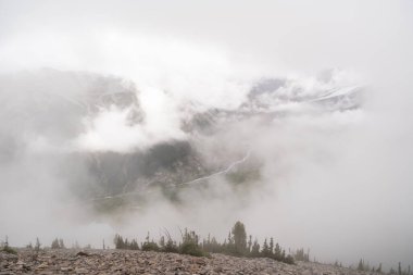 Bulutlu bir günde, Sunrise Rim Yolu boyunca uzanan yemyeşil Burroughs Dağları 'nın çarpıcı manzarası. Yüksek kaliteli bir fotoğraf, Mt. Rainier Ulusal Parkı.