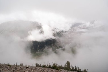 Bulutlu bir günde, Sunrise Rim Yolu boyunca uzanan yemyeşil Burroughs Dağları 'nın çarpıcı manzarası. Yüksek kaliteli bir fotoğraf, Mt. Rainier Ulusal Parkı.
