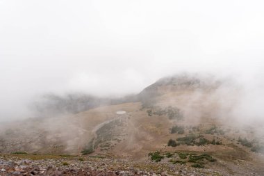 Bulutlu bir günde, Sunrise Rim Yolu boyunca uzanan yemyeşil Burroughs Dağları 'nın çarpıcı manzarası. Yüksek kaliteli bir fotoğraf, Mt. Rainier Ulusal Parkı.