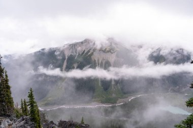 Bulutlu bir günde, Sunrise Rim Yolu boyunca uzanan yemyeşil Burroughs Dağları 'nın çarpıcı manzarası. Yüksek kaliteli bir fotoğraf, Mt. Rainier Ulusal Parkı.