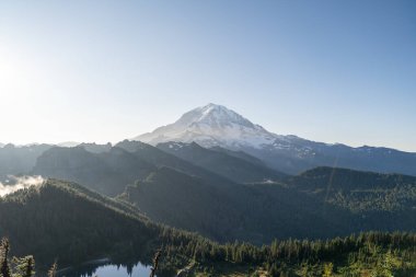Mt. Dağa bakan güzel manzaralar. Tolmie Tepesi patikasından Rainier ve yemyeşil. Rainier Ulusal Parkı. Yüksek kaliteli bir fotoğraf, Mt. Rainier Ulusal Parkı, Washington Eyaleti. 