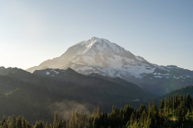 Mt. Dağa bakan güzel manzaralar. Tolmie Tepesi patikasından Rainier ve yemyeşil. Rainier Ulusal Parkı. Yüksek kaliteli bir fotoğraf, Mt. Rainier Ulusal Parkı, Washington Eyaleti. 