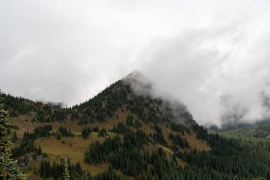 Bulutlu bir günde, Sunrise Rim Yolu boyunca uzanan yemyeşil Burroughs Dağları 'nın çarpıcı manzarası. Yüksek kaliteli bir fotoğraf, Mt. Rainier Ulusal Parkı.