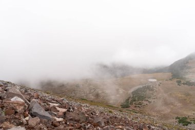 Bulutlu bir günde, Sunrise Rim Yolu boyunca uzanan yemyeşil Burroughs Dağları 'nın çarpıcı manzarası. Yüksek kaliteli bir fotoğraf, Mt. Rainier Ulusal Parkı.