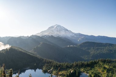 Mt. Dağa bakan güzel manzaralar. Tolmie Tepesi patikasından Rainier ve yemyeşil. Rainier Ulusal Parkı. Yüksek kaliteli bir fotoğraf, Mt. Rainier Ulusal Parkı, Washington Eyaleti. 