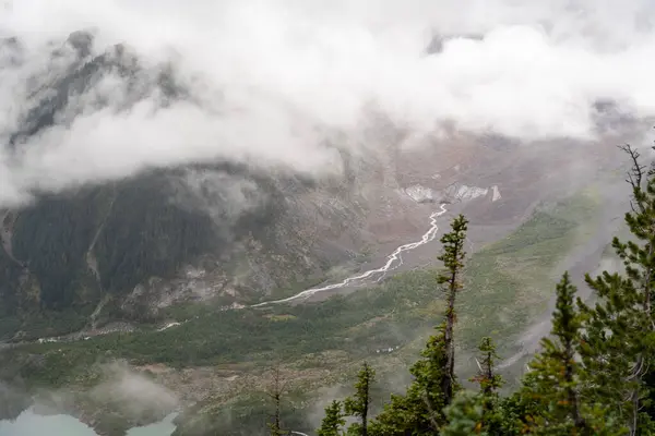 stock image Stunning views of the lush Burroughs Mountains along Sunrise Rim Trail on a cloudy day. A high-quality photo taken at Mt. Rainier National Park.