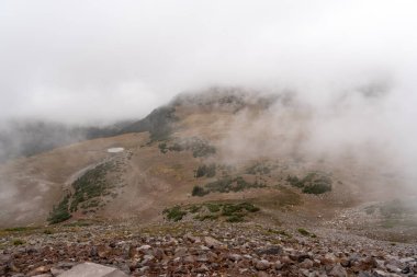Bulutlu bir günde, Sunrise Rim Yolu boyunca uzanan yemyeşil Burroughs Dağları 'nın çarpıcı manzarası. Yüksek kaliteli bir fotoğraf, Mt. Rainier Ulusal Parkı.