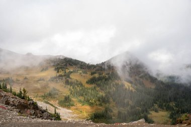 Bulutlu bir günde, Sunrise Rim Yolu boyunca uzanan yemyeşil Burroughs Dağları 'nın çarpıcı manzarası. Yüksek kaliteli bir fotoğraf, Mt. Rainier Ulusal Parkı.