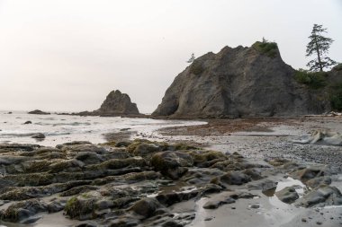 Bulutlu bir günde Rialto Sahili 'nde dev kaya ve okyanus manzarası. Washington eyaletindeki Rialto Beach Olimpiyat Ulusal Parkı 'nda çekilmiş kaliteli bir fotoğraf..