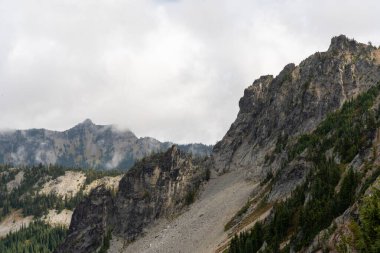 Bulutlu bir günde, Sunrise Rim Yolu boyunca uzanan yemyeşil Burroughs Dağları 'nın çarpıcı manzarası. Yüksek kaliteli bir fotoğraf, Mt. Rainier Ulusal Parkı.