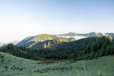 Beautiful views overlooking Mt. Rainier and lush greenery from Tolmie Peak trail at Mt. Rainier National Park. A high-quality photo taken in Mt. Rainier National Park, Washington state.  clipart