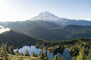 Mt. Dağa bakan güzel manzaralar. Tolmie Tepesi patikasından Rainier ve yemyeşil. Rainier Ulusal Parkı. Yüksek kaliteli bir fotoğraf, Mt. Rainier Ulusal Parkı, Washington Eyaleti. 