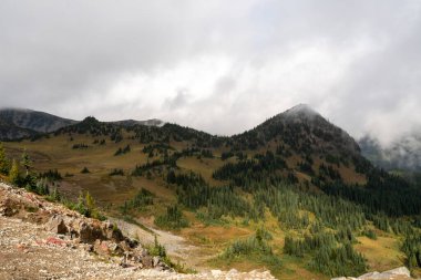 Bulutlu bir günde, Sunrise Rim Yolu boyunca uzanan yemyeşil Burroughs Dağları 'nın çarpıcı manzarası. Yüksek kaliteli bir fotoğraf, Mt. Rainier Ulusal Parkı.
