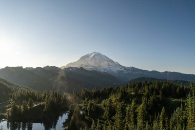 Mt. Dağa bakan güzel manzaralar. Tolmie Tepesi patikasından Rainier ve yemyeşil. Rainier Ulusal Parkı. Yüksek kaliteli bir fotoğraf, Mt. Rainier Ulusal Parkı, Washington Eyaleti. 