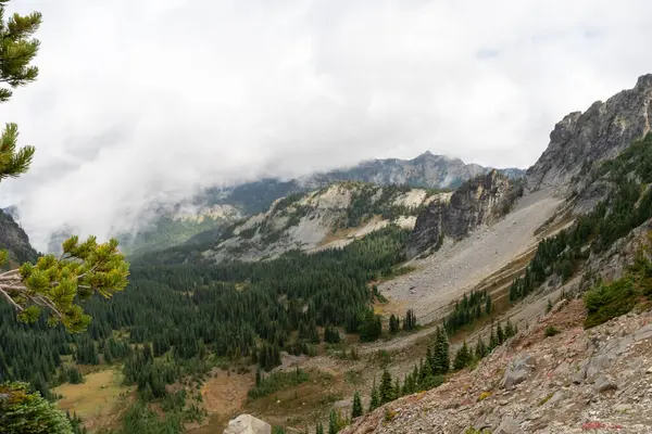 stock image Stunning views of the lush Burroughs Mountains along Sunrise Rim Trail on a cloudy day. A high-quality photo taken at Mt. Rainier National Park.