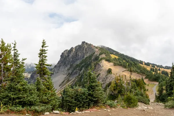 Bulutlu bir günde, Sunrise Rim Yolu boyunca uzanan yemyeşil Burroughs Dağları 'nın çarpıcı manzarası. Yüksek kaliteli bir fotoğraf, Mt. Rainier Ulusal Parkı.