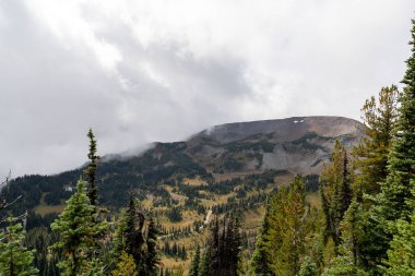 Bulutlu bir günde, Sunrise Rim Yolu boyunca uzanan yemyeşil Burroughs Dağları 'nın çarpıcı manzarası. Yüksek kaliteli bir fotoğraf, Mt. Rainier Ulusal Parkı.