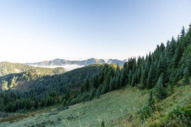 Beautiful views overlooking Mt. Rainier and lush greenery from Tolmie Peak trail at Mt. Rainier National Park. A high-quality photo taken in Mt. Rainier National Park, Washington state.  clipart