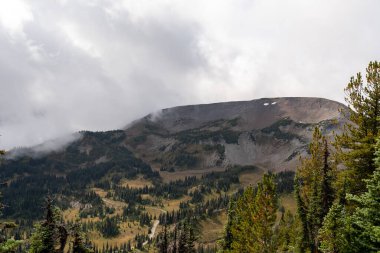 Bulutlu bir günde, Sunrise Rim Yolu boyunca uzanan yemyeşil Burroughs Dağları 'nın çarpıcı manzarası. Yüksek kaliteli bir fotoğraf, Mt. Rainier Ulusal Parkı.