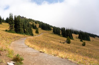 Bulutlu bir günde, Sunrise Rim Yolu boyunca uzanan yemyeşil Burroughs Dağları 'nın çarpıcı manzarası. Yüksek kaliteli bir fotoğraf, Mt. Rainier Ulusal Parkı.