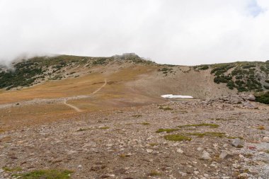 Bulutlu bir günde, Sunrise Rim Yolu boyunca uzanan yemyeşil Burroughs Dağları 'nın çarpıcı manzarası. Yüksek kaliteli bir fotoğraf, Mt. Rainier Ulusal Parkı.