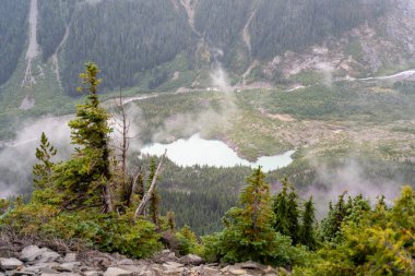 Bulutlu bir günde, Sunrise Rim Yolu boyunca uzanan yemyeşil Burroughs Dağları 'nın çarpıcı manzarası. Yüksek kaliteli bir fotoğraf, Mt. Rainier Ulusal Parkı.