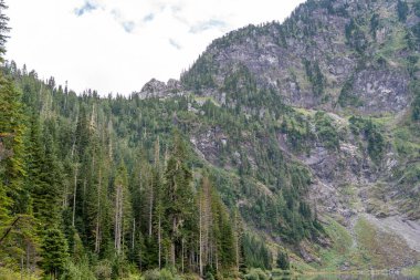 Stunning views of Lake 22 on a cloudy day in Washington State. A high-quality photo taken at Lake Twenty-Two, Washington state.  clipart