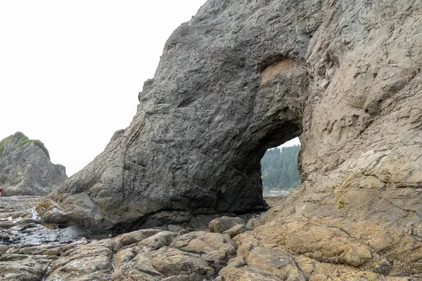 stock image A beautiful view of giant rocks and ocean at Rialto Beach on a cloud day. A high-quality photo taken at Rialto Beach Olympic National Park, Washington state.