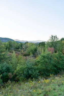 Beyaz Dağ Ulusal Ormanı 'nda bir sürü yemyeşil bitki ve ağacın olduğu güzel bir dağ manzarası. White Mountain Ulusal Ormanı, New Hampshire 'da çekilmiş kaliteli bir fotoğraf..