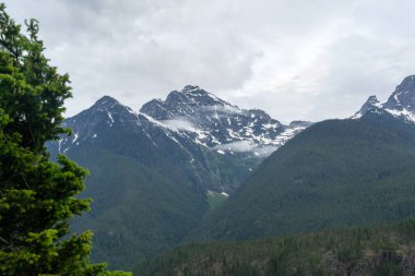 Bulutlu bir günde yeşilliklerle dolu çarpıcı bir Kuzey Şelalesi dağ manzarası. North Cascades Ulusal Parkı, Washington 'da çekilmiş kaliteli bir fotoğraf..